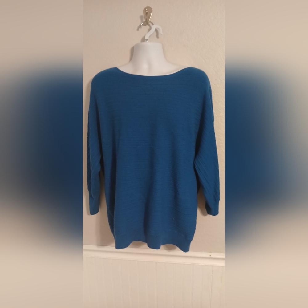 Blue Chicos sweater 3